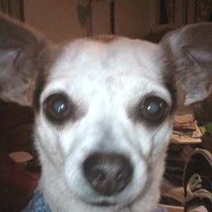 Meet your Posher, Yvonne